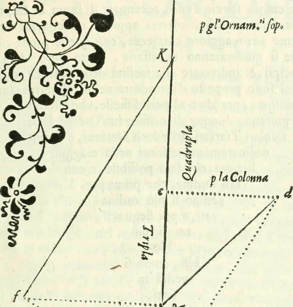 An illustration from Architettura civile demonstrativamente proportionata et accresciuta di nuove regole : con l'vso delle quali si facilita l'inventione d'ogni dovuta proportione nelli cinque ordini, e col ritrovamento d'vn nuovo strumento angolare, si da il modo à gl'operarij medesimi di pratticamente stabilire le sacome in ogni loro necessario contorno, 1686, leaf 114
