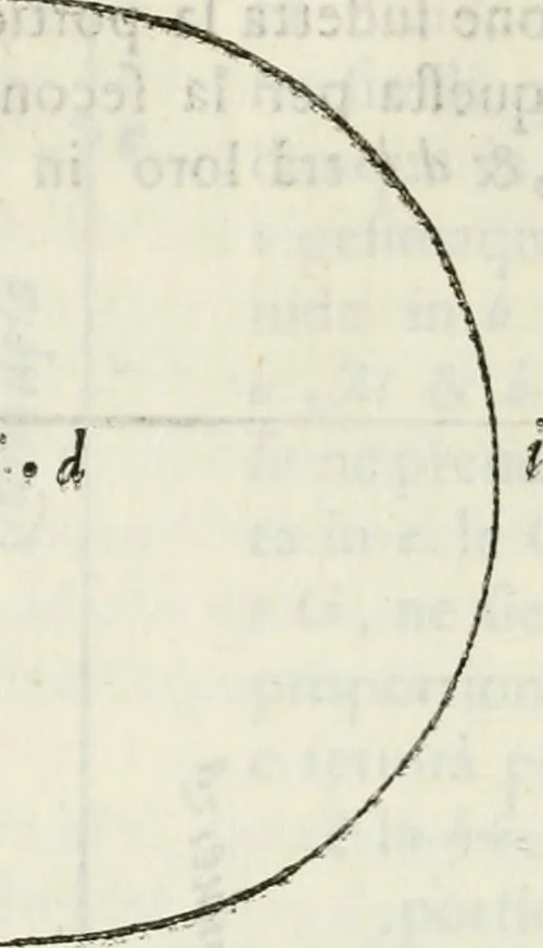 An illustration from Architettura civile demonstrativamente proportionata et accresciuta di nuove regole : con l'vso delle quali si facilita l'inventione d'ogni dovuta proportione nelli cinque ordini, e col ritrovamento d'vn nuovo strumento angolare, si da il modo à gl'operarij medesimi di pratticamente stabilire le sacome in ogni loro necessario contorno, 1686, leaf 131