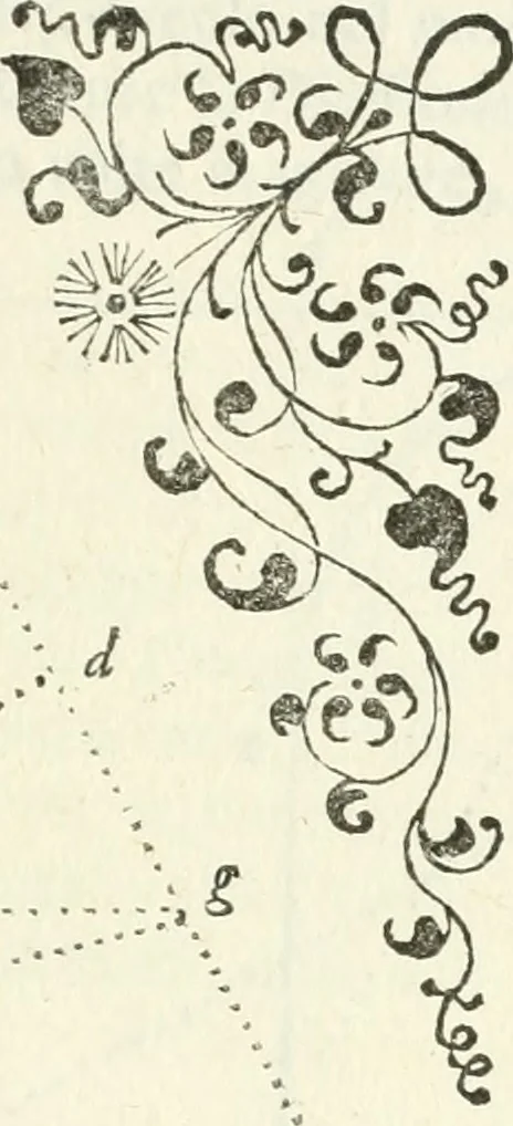 An illustration from Architettura civile demonstrativamente proportionata et accresciuta di nuove regole : con l'vso delle quali si facilita l'inventione d'ogni dovuta proportione nelli cinque ordini, e col ritrovamento d'vn nuovo strumento angolare, si da il modo à gl'operarij medesimi di pratticamente stabilire le sacome in ogni loro necessario contorno, 1686, leaf 152