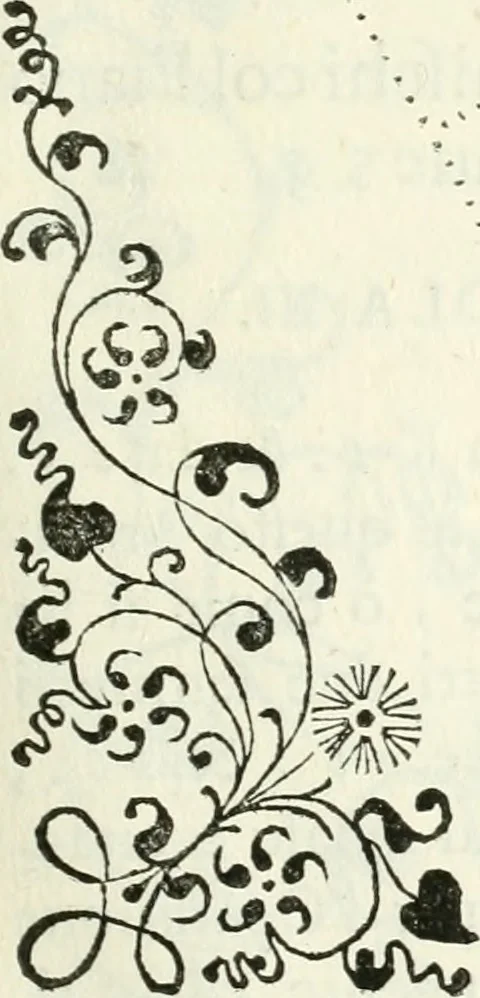 An illustration from Architettura civile demonstrativamente proportionata et accresciuta di nuove regole : con l'vso delle quali si facilita l'inventione d'ogni dovuta proportione nelli cinque ordini, e col ritrovamento d'vn nuovo strumento angolare, si da il modo à gl'operarij medesimi di pratticamente stabilire le sacome in ogni loro necessario contorno, 1686, leaf 154