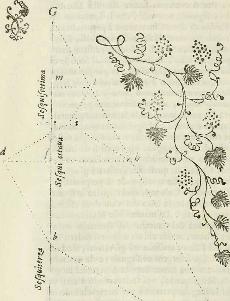 An illustration from Architettura civile demonstrativamente proportionata et accresciuta di nuove regole : con l'vso delle quali si facilita l'inventione d'ogni dovuta proportione nelli cinque ordini, e col ritrovamento d'vn nuovo strumento angolare, si da il modo à gl'operarij medesimi di pratticamente stabilire le sacome in ogni loro necessario contorno, 1686, leaf 195