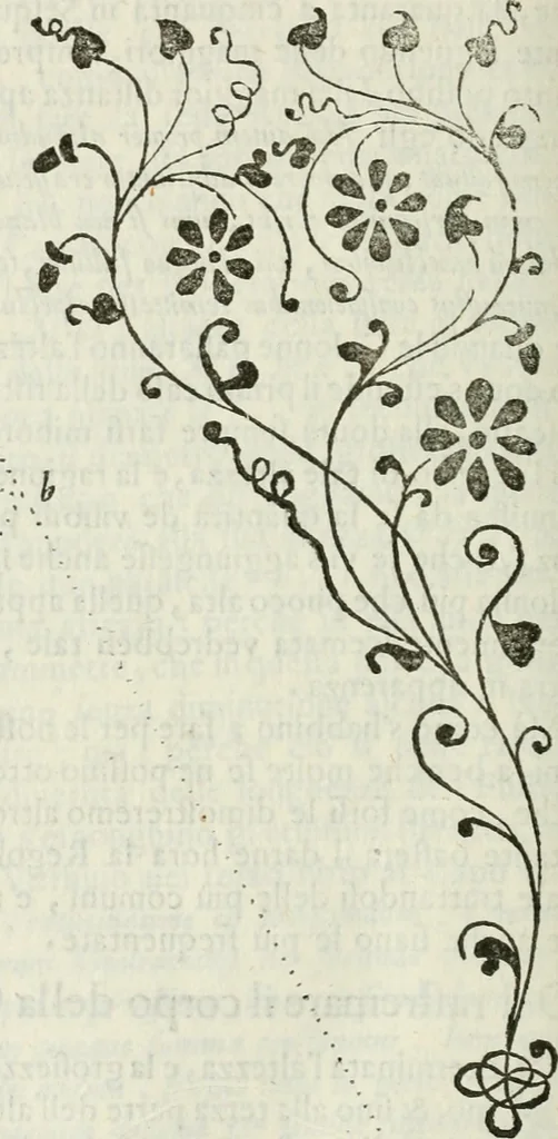 An illustration from Architettura civile demonstrativamente proportionata et accresciuta di nuove regole : con l'vso delle quali si facilita l'inventione d'ogni dovuta proportione nelli cinque ordini, e col ritrovamento d'vn nuovo strumento angolare, si da il modo à gl'operarij medesimi di pratticamente stabilire le sacome in ogni loro necessario contorno, 1686, leaf 215