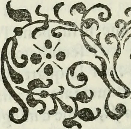 An illustration from Architettura civile demonstrativamente proportionata et accresciuta di nuove regole : con l'vso delle quali si facilita l'inventione d'ogni dovuta proportione nelli cinque ordini, e col ritrovamento d'vn nuovo strumento angolare, si da il modo à gl'operarij medesimi di pratticamente stabilire le sacome in ogni loro necessario contorno, 1686, leaf 219