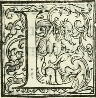 An illustration from Architettura civile demonstrativamente proportionata et accresciuta di nuove regole : con l'vso delle quali si facilita l'inventione d'ogni dovuta proportione nelli cinque ordini, e col ritrovamento d'vn nuovo strumento angolare, si da il modo à gl'operarij medesimi di pratticamente stabilire le sacome in ogni loro necessario contorno, 1686, leaf 22