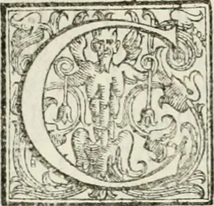 An illustration from Architettura civile demonstrativamente proportionata et accresciuta di nuove regole : con l'vso delle quali si facilita l'inventione d'ogni dovuta proportione nelli cinque ordini, e col ritrovamento d'vn nuovo strumento angolare, si da il modo à gl'operarij medesimi di pratticamente stabilire le sacome in ogni loro necessario contorno, 1686, leaf 225