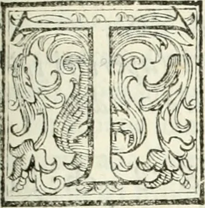 An illustration from Architettura civile demonstrativamente proportionata et accresciuta di nuove regole : con l'vso delle quali si facilita l'inventione d'ogni dovuta proportione nelli cinque ordini, e col ritrovamento d'vn nuovo strumento angolare, si da il modo à gl'operarij medesimi di pratticamente stabilire le sacome in ogni loro necessario contorno, 1686, leaf 232