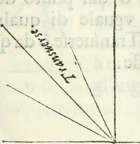 An illustration from Architettura civile demonstrativamente proportionata et accresciuta di nuove regole : con l'vso delle quali si facilita l'inventione d'ogni dovuta proportione nelli cinque ordini, e col ritrovamento d'vn nuovo strumento angolare, si da il modo à gl'operarij medesimi di pratticamente stabilire le sacome in ogni loro necessario contorno, 1686, leaf 24