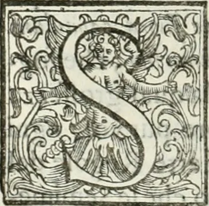 An illustration from Architettura civile demonstrativamente proportionata et accresciuta di nuove regole : con l'vso delle quali si facilita l'inventione d'ogni dovuta proportione nelli cinque ordini, e col ritrovamento d'vn nuovo strumento angolare, si da il modo à gl'operarij medesimi di pratticamente stabilire le sacome in ogni loro necessario contorno, 1686, leaf 243