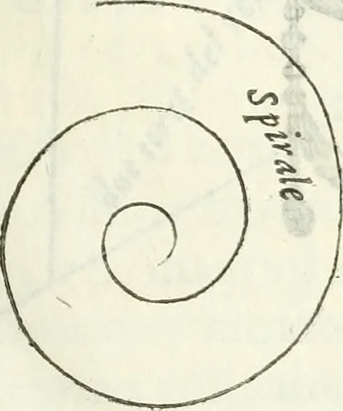 An illustration from Architettura civile demonstrativamente proportionata et accresciuta di nuove regole : con l'vso delle quali si facilita l'inventione d'ogni dovuta proportione nelli cinque ordini, e col ritrovamento d'vn nuovo strumento angolare, si da il modo à gl'operarij medesimi di pratticamente stabilire le sacome in ogni loro necessario contorno, 1686, leaf 28