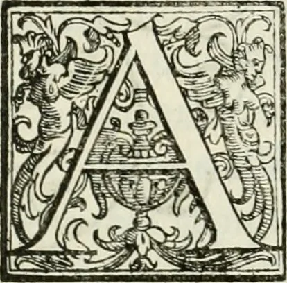 An illustration from Architettura civile demonstrativamente proportionata et accresciuta di nuove regole : con l'vso delle quali si facilita l'inventione d'ogni dovuta proportione nelli cinque ordini, e col ritrovamento d'vn nuovo strumento angolare, si da il modo à gl'operarij medesimi di pratticamente stabilire le sacome in ogni loro necessario contorno, 1686, leaf 287