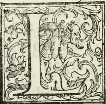 An illustration from Architettura civile demonstrativamente proportionata et accresciuta di nuove regole : con l'vso delle quali si facilita l'inventione d'ogni dovuta proportione nelli cinque ordini, e col ritrovamento d'vn nuovo strumento angolare, si da il modo à gl'operarij medesimi di pratticamente stabilire le sacome in ogni loro necessario contorno, 1686, leaf 305
