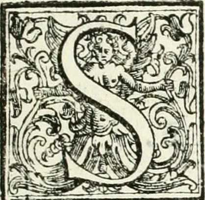 An illustration from Architettura civile demonstrativamente proportionata et accresciuta di nuove regole : con l'vso delle quali si facilita l'inventione d'ogni dovuta proportione nelli cinque ordini, e col ritrovamento d'vn nuovo strumento angolare, si da il modo à gl'operarij medesimi di pratticamente stabilire le sacome in ogni loro necessario contorno, 1686, leaf 312