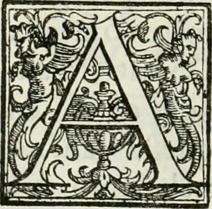 An illustration from Architettura civile demonstrativamente proportionata et accresciuta di nuove regole : con l'vso delle quali si facilita l'inventione d'ogni dovuta proportione nelli cinque ordini, e col ritrovamento d'vn nuovo strumento angolare, si da il modo à gl'operarij medesimi di pratticamente stabilire le sacome in ogni loro necessario contorno, 1686, leaf 325