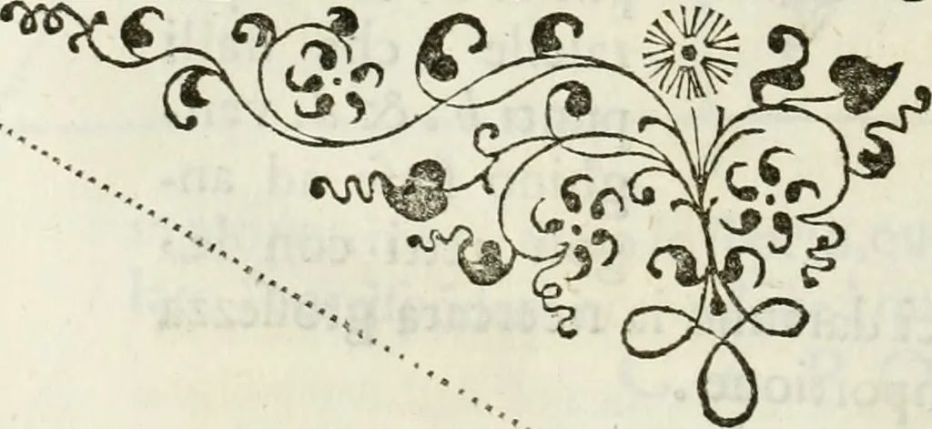 An illustration from Architettura civile demonstrativamente proportionata et accresciuta di nuove regole : con l'vso delle quali si facilita l'inventione d'ogni dovuta proportione nelli cinque ordini, e col ritrovamento d'vn nuovo strumento angolare, si da il modo à gl'operarij medesimi di pratticamente stabilire le sacome in ogni loro necessario contorno, 1686, leaf 331