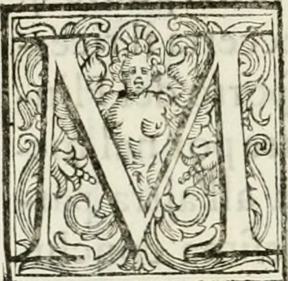 An illustration from Architettura civile demonstrativamente proportionata et accresciuta di nuove regole : con l'vso delle quali si facilita l'inventione d'ogni dovuta proportione nelli cinque ordini, e col ritrovamento d'vn nuovo strumento angolare, si da il modo à gl'operarij medesimi di pratticamente stabilire le sacome in ogni loro necessario contorno, 1686, leaf 333