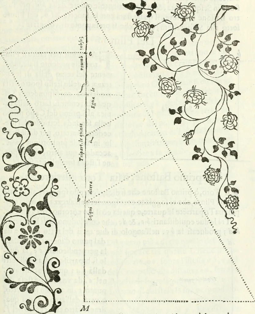 An illustration from Architettura civile demonstrativamente proportionata et accresciuta di nuove regole : con l'vso delle quali si facilita l'inventione d'ogni dovuta proportione nelli cinque ordini, e col ritrovamento d'vn nuovo strumento angolare, si da il modo à gl'operarij medesimi di pratticamente stabilire le sacome in ogni loro necessario contorno, 1686, leaf 340