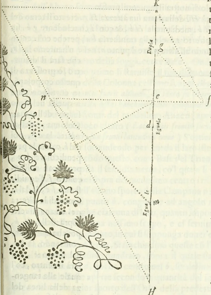 An illustration from Architettura civile demonstrativamente proportionata et accresciuta di nuove regole : con l'vso delle quali si facilita l'inventione d'ogni dovuta proportione nelli cinque ordini, e col ritrovamento d'vn nuovo strumento angolare, si da il modo à gl'operarij medesimi di pratticamente stabilire le sacome in ogni loro necessario contorno, 1686, leaf 348
