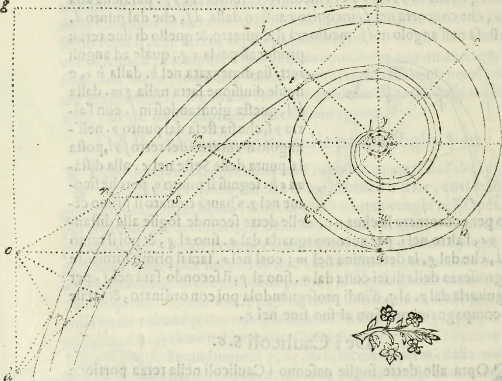An illustration from Architettura civile demonstrativamente proportionata et accresciuta di nuove regole : con l'vso delle quali si facilita l'inventione d'ogni dovuta proportione nelli cinque ordini, e col ritrovamento d'vn nuovo strumento angolare, si da il modo à gl'operarij medesimi di pratticamente stabilire le sacome in ogni loro necessario contorno, 1686, leaf 355