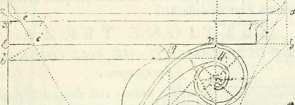 An illustration from Architettura civile demonstrativamente proportionata et accresciuta di nuove regole : con l'vso delle quali si facilita l'inventione d'ogni dovuta proportione nelli cinque ordini, e col ritrovamento d'vn nuovo strumento angolare, si da il modo à gl'operarij medesimi di pratticamente stabilire le sacome in ogni loro necessario contorno, 1686, leaf 358