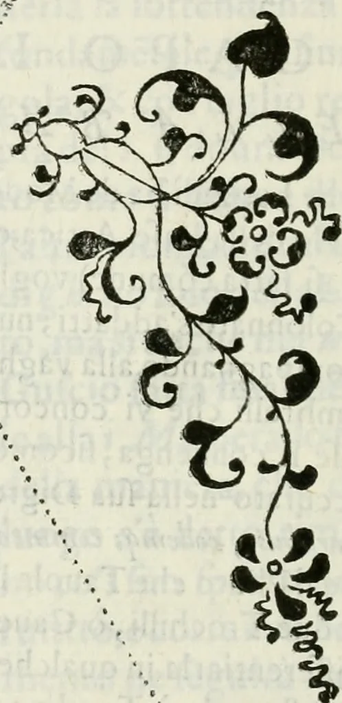 An illustration from Architettura civile demonstrativamente proportionata et accresciuta di nuove regole : con l'vso delle quali si facilita l'inventione d'ogni dovuta proportione nelli cinque ordini, e col ritrovamento d'vn nuovo strumento angolare, si da il modo à gl'operarij medesimi di pratticamente stabilire le sacome in ogni loro necessario contorno, 1686, leaf 393