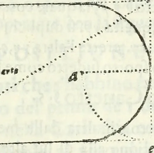An illustration from Architettura civile demonstrativamente proportionata et accresciuta di nuove regole : con l'vso delle quali si facilita l'inventione d'ogni dovuta proportione nelli cinque ordini, e col ritrovamento d'vn nuovo strumento angolare, si da il modo à gl'operarij medesimi di pratticamente stabilire le sacome in ogni loro necessario contorno, 1686, leaf 394