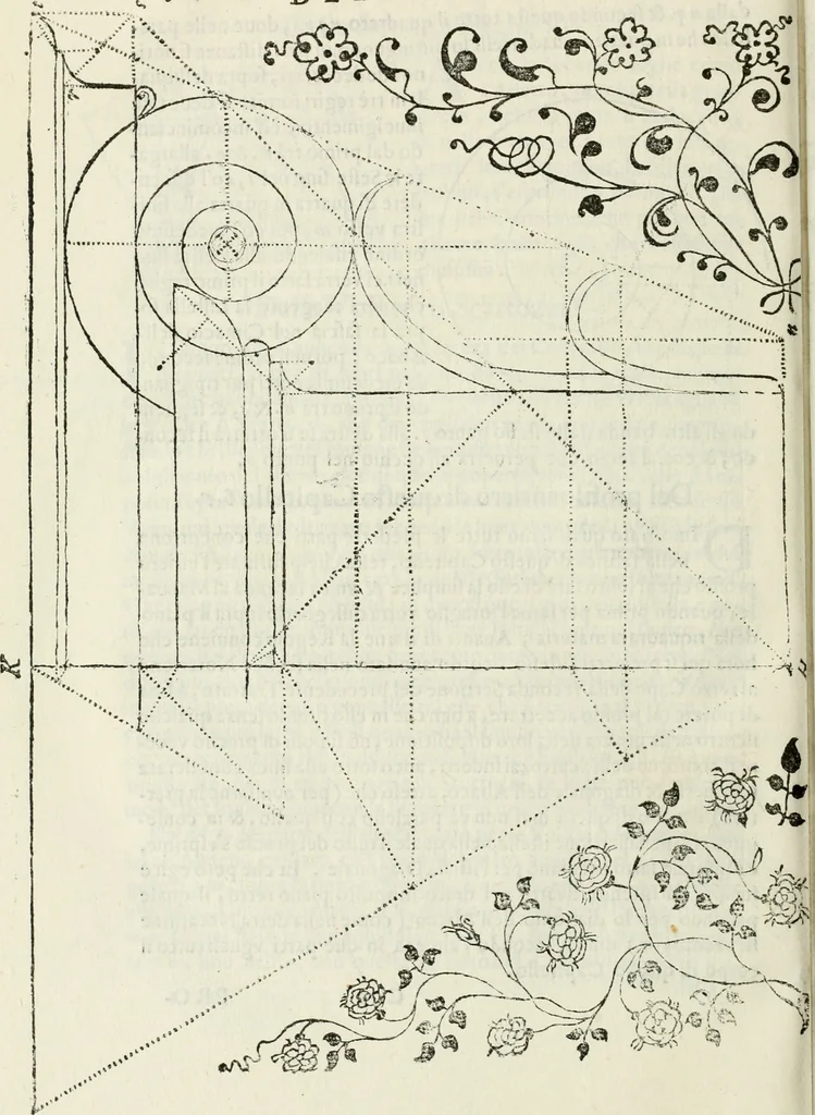 An illustration from Architettura civile demonstrativamente proportionata et accresciuta di nuove regole : con l'vso delle quali si facilita l'inventione d'ogni dovuta proportione nelli cinque ordini, e col ritrovamento d'vn nuovo strumento angolare, si da il modo à gl'operarij medesimi di pratticamente stabilire le sacome in ogni loro necessario contorno, 1686, leaf 407