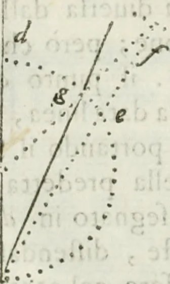 An illustration from Architettura civile demonstrativamente proportionata et accresciuta di nuove regole : con l'vso delle quali si facilita l'inventione d'ogni dovuta proportione nelli cinque ordini, e col ritrovamento d'vn nuovo strumento angolare, si da il modo à gl'operarij medesimi di pratticamente stabilire le sacome in ogni loro necessario contorno, 1686, leaf 41