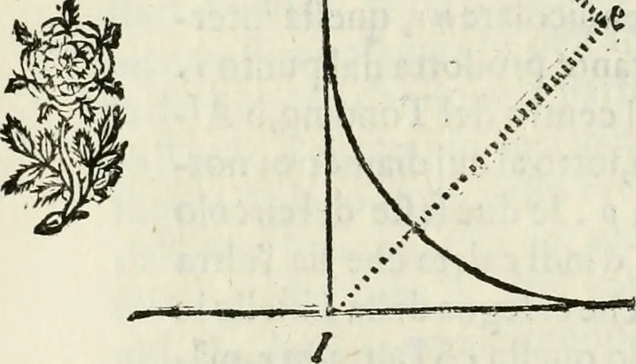 An illustration from Architettura civile demonstrativamente proportionata et accresciuta di nuove regole : con l'vso delle quali si facilita l'inventione d'ogni dovuta proportione nelli cinque ordini, e col ritrovamento d'vn nuovo strumento angolare, si da il modo à gl'operarij medesimi di pratticamente stabilire le sacome in ogni loro necessario contorno, 1686, leaf 417