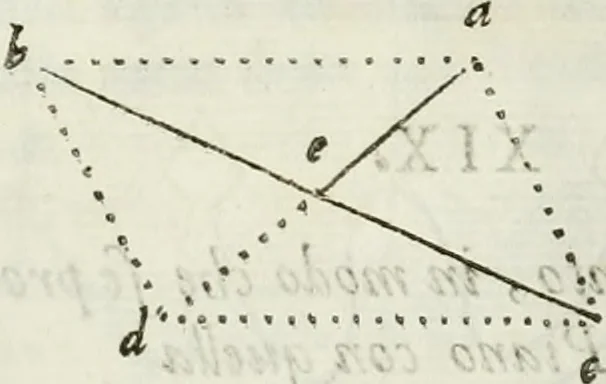 An illustration from Architettura civile demonstrativamente proportionata et accresciuta di nuove regole : con l'vso delle quali si facilita l'inventione d'ogni dovuta proportione nelli cinque ordini, e col ritrovamento d'vn nuovo strumento angolare, si da il modo à gl'operarij medesimi di pratticamente stabilire le sacome in ogni loro necessario contorno, 1686, leaf 45