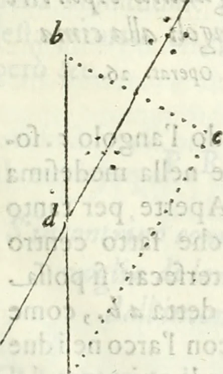 An illustration from Architettura civile demonstrativamente proportionata et accresciuta di nuove regole : con l'vso delle quali si facilita l'inventione d'ogni dovuta proportione nelli cinque ordini, e col ritrovamento d'vn nuovo strumento angolare, si da il modo à gl'operarij medesimi di pratticamente stabilire le sacome in ogni loro necessario contorno, 1686, leaf 48