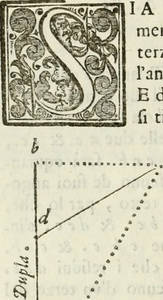 An illustration from Architettura civile demonstrativamente proportionata et accresciuta di nuove regole : con l'vso delle quali si facilita l'inventione d'ogni dovuta proportione nelli cinque ordini, e col ritrovamento d'vn nuovo strumento angolare, si da il modo à gl'operarij medesimi di pratticamente stabilire le sacome in ogni loro necessario contorno, 1686, leaf 59
