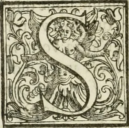An illustration from Architettura civile demonstrativamente proportionata et accresciuta di nuove regole : con l'vso delle quali si facilita l'inventione d'ogni dovuta proportione nelli cinque ordini, e col ritrovamento d'vn nuovo strumento angolare, si da il modo à gl'operarij medesimi di pratticamente stabilire le sacome in ogni loro necessario contorno, 1686, leaf 65