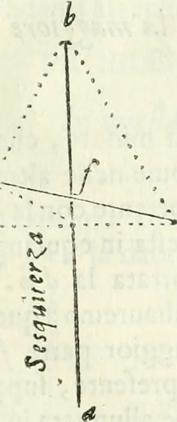 An illustration from Architettura civile demonstrativamente proportionata et accresciuta di nuove regole : con l'vso delle quali si facilita l'inventione d'ogni dovuta proportione nelli cinque ordini, e col ritrovamento d'vn nuovo strumento angolare, si da il modo à gl'operarij medesimi di pratticamente stabilire le sacome in ogni loro necessario contorno, 1686, leaf 80