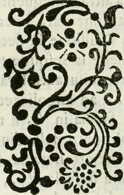An illustration from Architettura civile demonstrativamente proportionata et accresciuta di nuove regole : con l'vso delle quali si facilita l'inventione d'ogni dovuta proportione nelli cinque ordini, e col ritrovamento d'vn nuovo strumento angolare, si da il modo à gl'operarij medesimi di pratticamente stabilire le sacome in ogni loro necessario contorno, 1686, leaf 89
