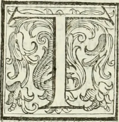 An illustration from Architettura civile demonstrativamente proportionata et accresciuta di nuove regole : con l'vso delle quali si facilita l'inventione d'ogni dovuta proportione nelli cinque ordini, e col ritrovamento d'vn nuovo strumento angolare, si da il modo à gl'operarij medesimi di pratticamente stabilire le sacome in ogni loro necessario contorno, 1686, leaf 99