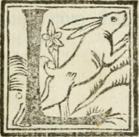 An illustration from Della architettura di Gioseffe Viola Zanini, padovano pittore et architetto, libri due : ne' quali con nuoua simmetria & facoltà si mostrano le giuste regole de i cinque ordini di detta architettura, & osseruationi de'più eccellenti architetti, che in quella habbiano dato ammaestramenti .., 1629, leaf 10