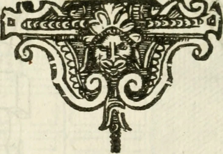 An illustration from Della architettura di Gioseffe Viola Zanini, padovano pittore et architetto, libri due : ne' quali con nuoua simmetria & facoltà si mostrano le giuste regole de i cinque ordini di detta architettura, & osseruationi de'più eccellenti architetti, che in quella habbiano dato ammaestramenti .., 1629, leaf 309