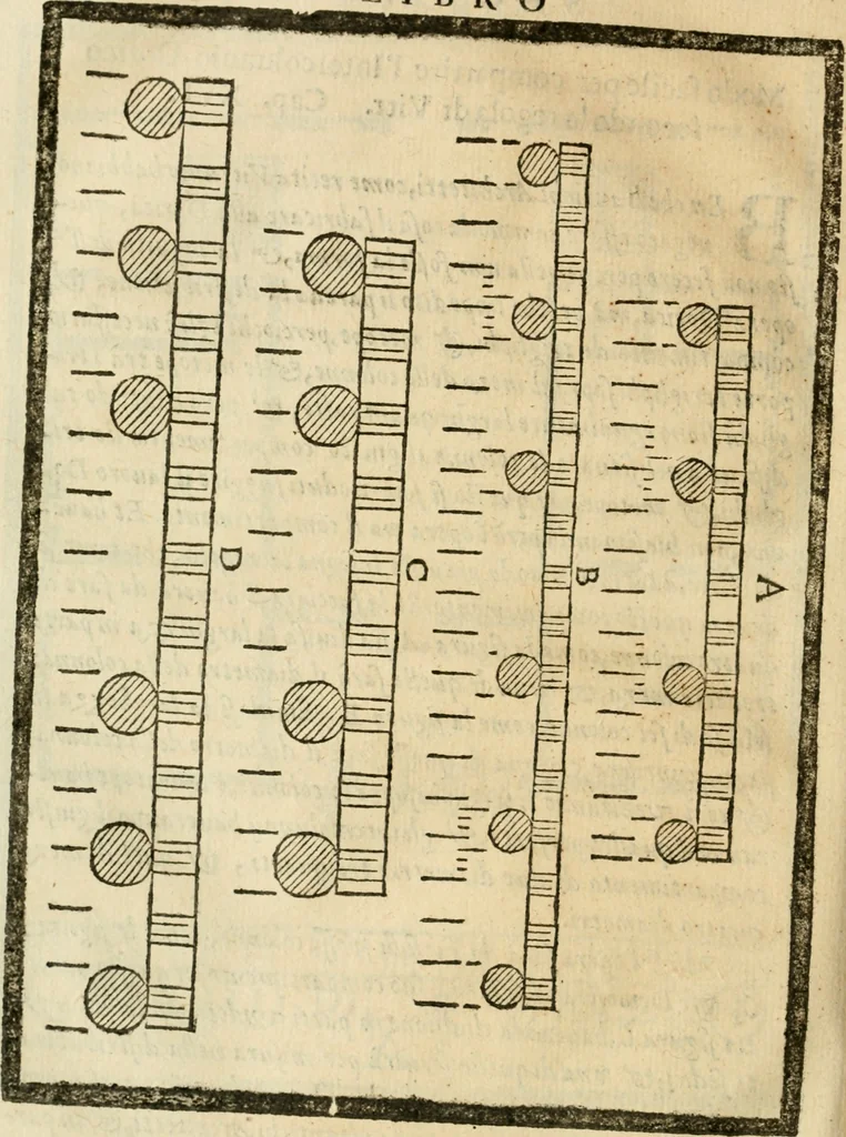An illustration from Della architettura di Gioseffe Viola Zanini, padovano pittore et architetto, libri due : ne' quali con nuoua simmetria & facoltà si mostrano le giuste regole de i cinque ordini di detta architettura, & osseruationi de'più eccellenti architetti, che in quella habbiano dato ammaestramenti .., 1629, leaf 343