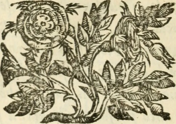 An illustration from Della architettura di Gioseffe Viola Zanini, padovano pittore et architetto, libri due : ne' quali con nuoua simmetria & facoltà si mostrano le giuste regole de i cinque ordini di detta architettura, & osseruationi de'più eccellenti architetti, che in quella habbiano dato ammaestramenti .., 1629, leaf 363
