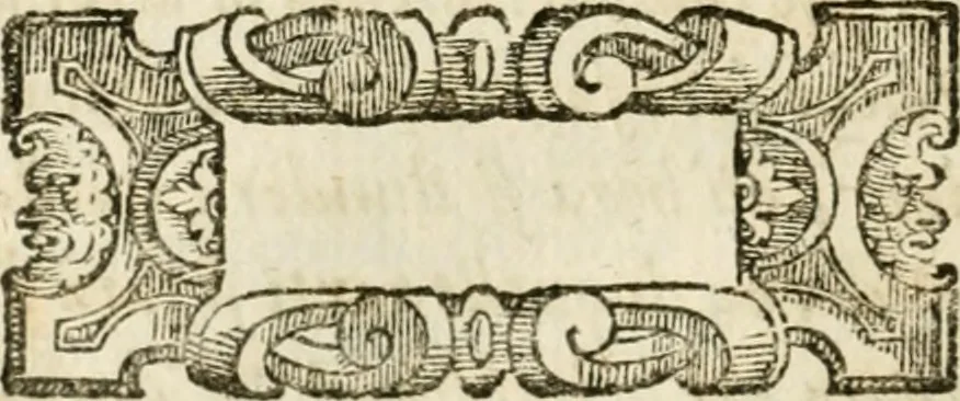 An illustration from Della architettura di Gioseffe Viola Zanini, padovano pittore et architetto, libri due : ne' quali con nuoua simmetria & facoltà si mostrano le giuste regole de i cinque ordini di detta architettura, & osseruationi de'più eccellenti architetti, che in quella habbiano dato ammaestramenti .., 1629, leaf 369