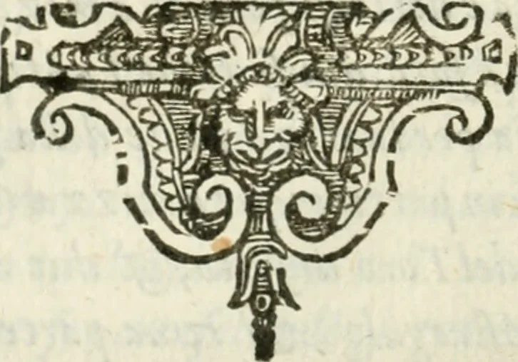 An illustration from Della architettura di Gioseffe Viola Zanini, padovano pittore et architetto, libri due : ne' quali con nuoua simmetria & facoltà si mostrano le giuste regole de i cinque ordini di detta architettura, & osseruationi de'più eccellenti architetti, che in quella habbiano dato ammaestramenti .., 1629, leaf 441