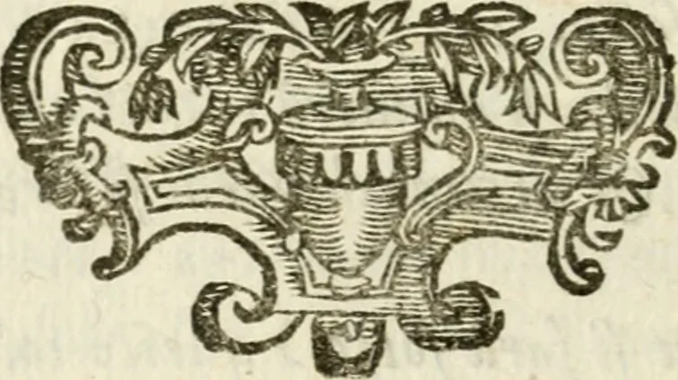 An illustration from Della architettura di Gioseffe Viola Zanini, padovano pittore et architetto, libri due : ne' quali con nuoua simmetria & facoltà si mostrano le giuste regole de i cinque ordini di detta architettura, & osseruationi de'più eccellenti architetti, che in quella habbiano dato ammaestramenti .., 1629, leaf 457