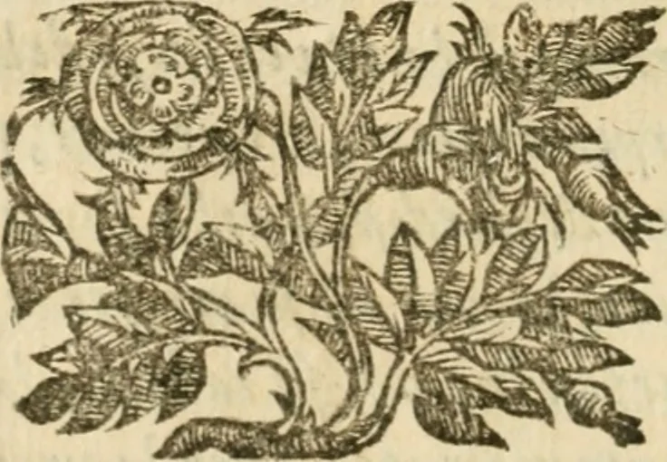 An illustration from Della architettura di Gioseffe Viola Zanini, padovano pittore et architetto, libri due : ne' quali con nuoua simmetria & facoltà si mostrano le giuste regole de i cinque ordini di detta architettura, & osseruationi de'più eccellenti architetti, che in quella habbiano dato ammaestramenti .., 1629, leaf 47