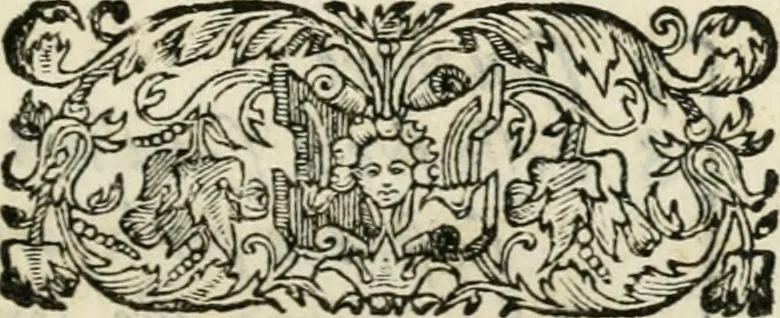 An illustration from Architettvra militare : con altri auuertimenti appartenenti alla guerra, 1582, leaf 34
