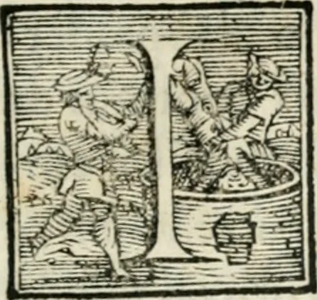 An illustration from Architettvra militare : con altri auuertimenti appartenenti alla guerra, 1582, leaf 50