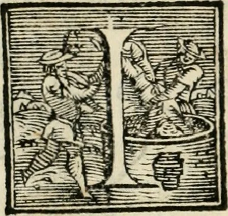An illustration from Architettvra militare : con altri auuertimenti appartenenti alla guerra, 1582, leaf 61