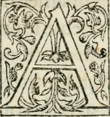 An illustration from Architettvra militare : con altri auuertimenti appartenenti alla guerra, 1582, leaf 81