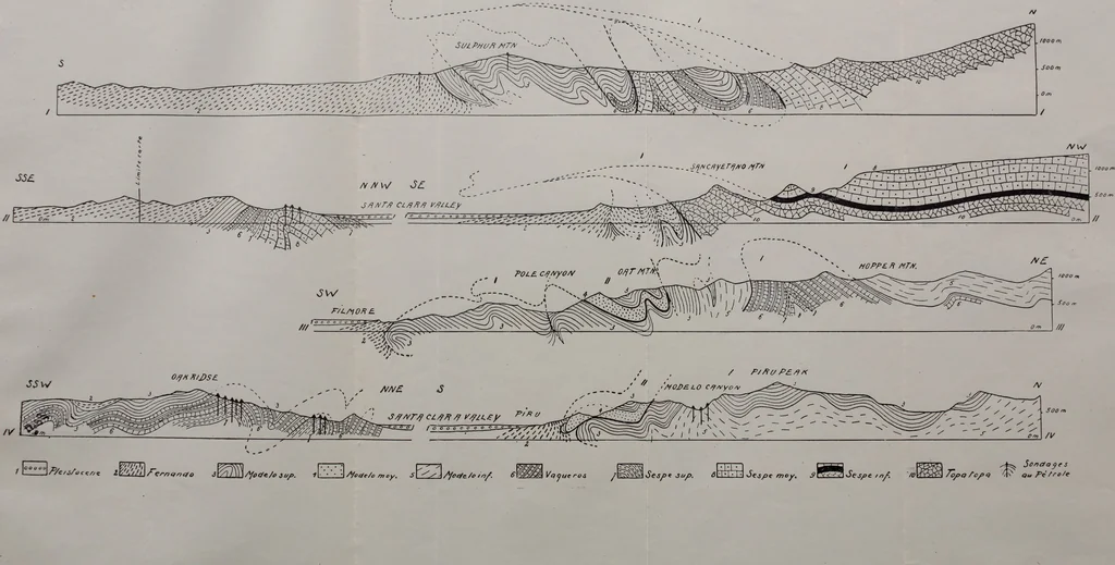 An illustration from Archives des sciences physiques et naturelles, 1919, leaf 103