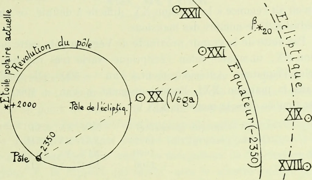 An illustration from Archives des sciences physiques et naturelles, 1919, leaf 150