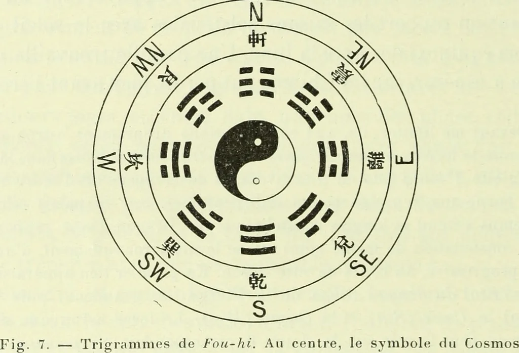 An illustration from Archives des sciences physiques et naturelles, 1919, leaf 229